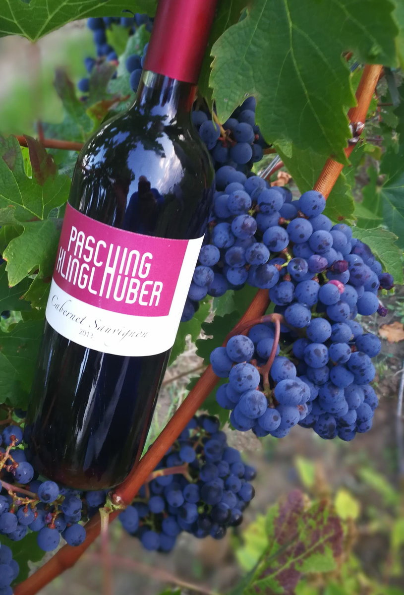 Cabernet Sauvignon von Pasching-Klinglhuber